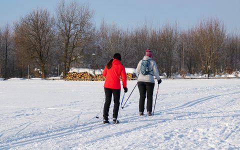 Snowshoe and Walking-stick Hikes