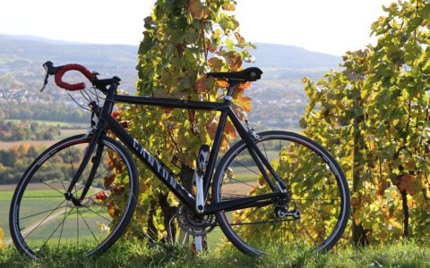 Vélo automne