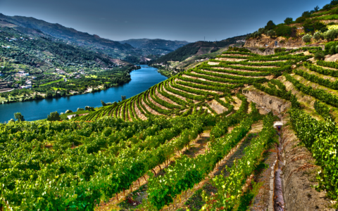 Croisière accompagnée fluviale | Secret du Douro