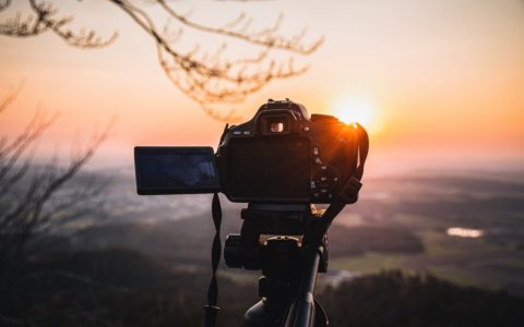 Initiation à la photographie de nature