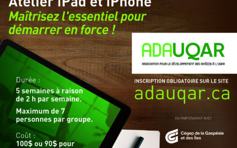 Atelier iPad et iPhone : Maîtrisez l'essentiel pour démarrer en force !