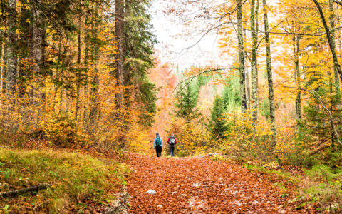 Randonnées d'automne aux quatre coins du Québec