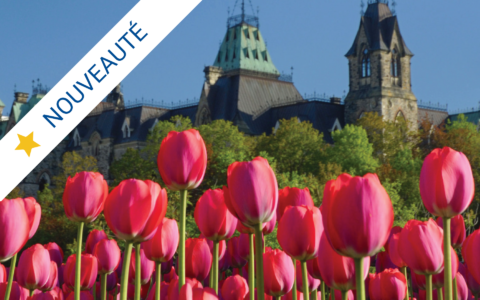 Festival canadien des tulipes à Ottawa