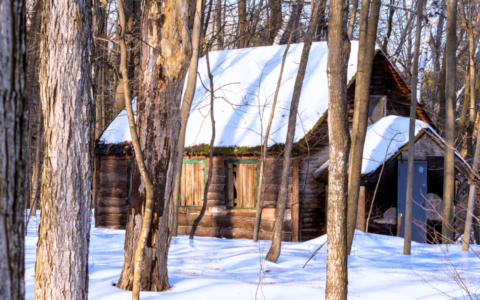 Sortie à la Cabane à sucre