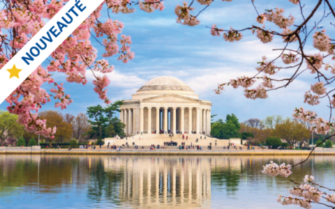 Washington et le festival Cherry Blossom