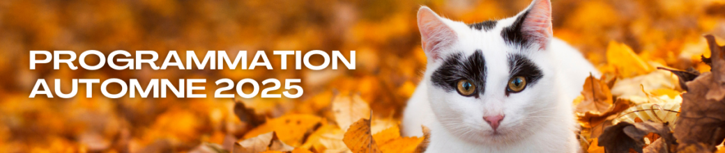 Loisirs et événements