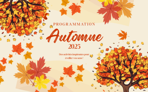 Programmation | Automne 2025