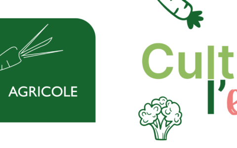 Partenaire de choix: Le Marigot agricole