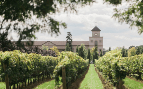 Vignobles de l'Ontario