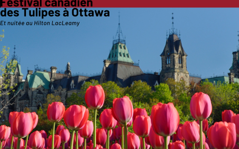 Festival canadien des Tulipes à Ottawa et Nuitée au Hilton Lac Leamy - Printemps 2026